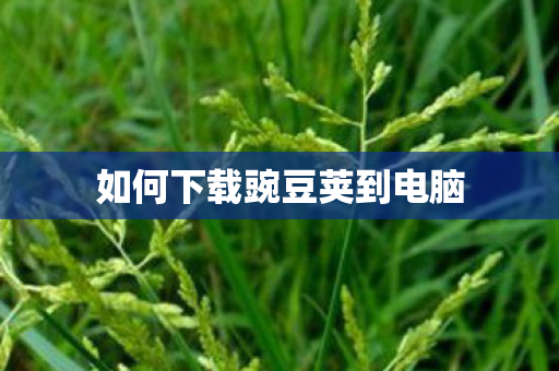 如何下载豌豆荚到电脑图片