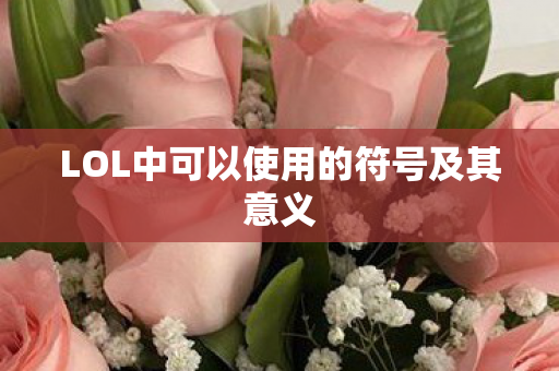 LOL中可以使用的符号及其意义图片