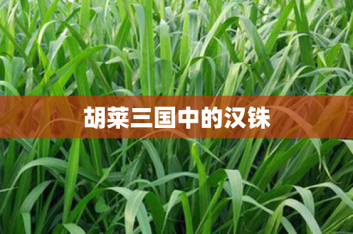 胡莱三国中的汉铢图片