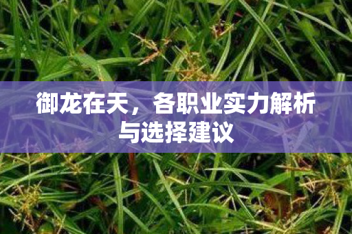 各职业实力解析与选择建议图片