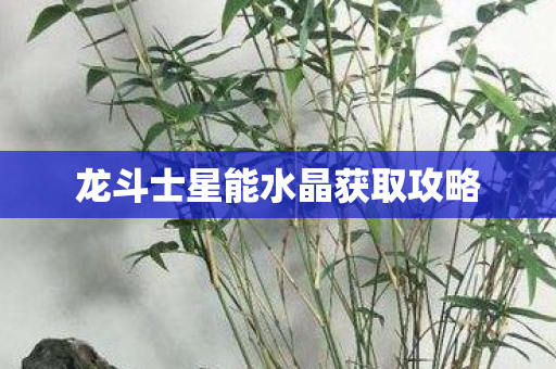 龙斗士星能水晶获取攻略图片