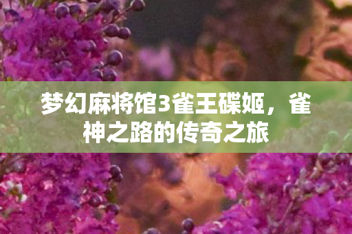 梦幻麻将馆3雀王碟姬图片