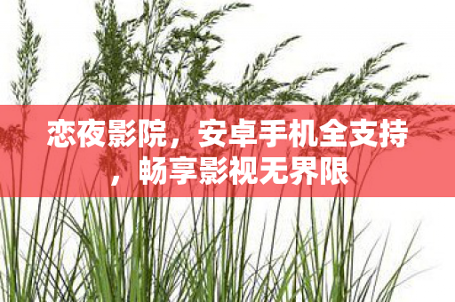安卓手机全支持图片