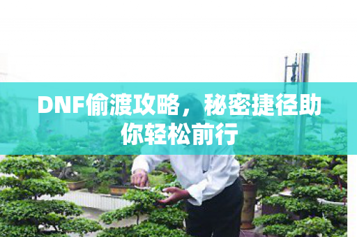 秘密捷径助你轻松前行图片