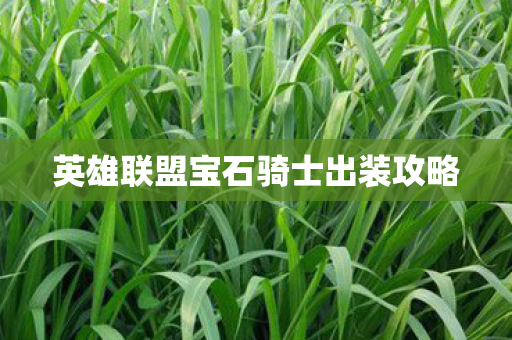 英雄联盟宝石骑士出装攻略图片