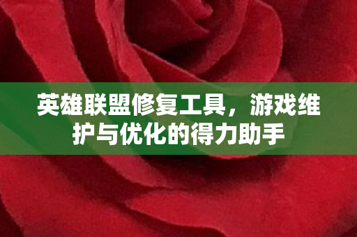 游戏维护与优化的得力助手图片