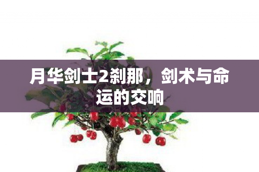 剑术与命运的交响图片