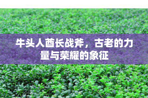古老的力量与荣耀的象征图片