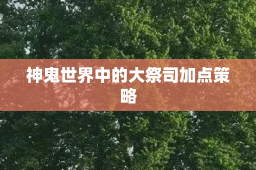 神鬼世界中的大祭司加点策略图片