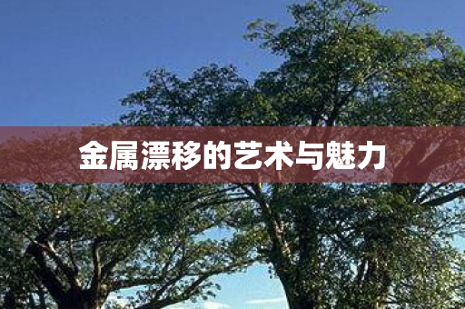 金属漂移的艺术与魅力图片