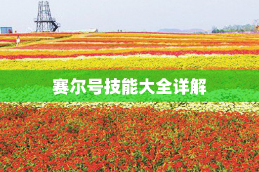 赛尔号技能大全详解图片