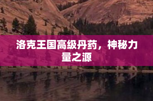 洛克王国高级丹药图片