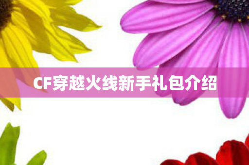 CF穿越火线新手礼包介绍图片