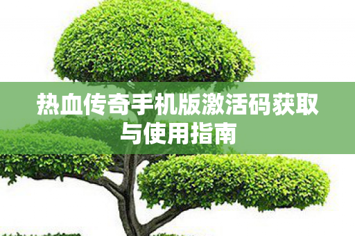 热血传奇手机版激活码获取与使用指南图片