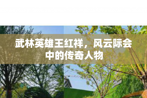 风云际会中的传奇人物图片