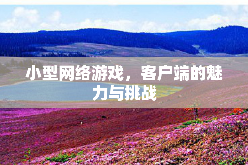 客户端的魅力与挑战图片