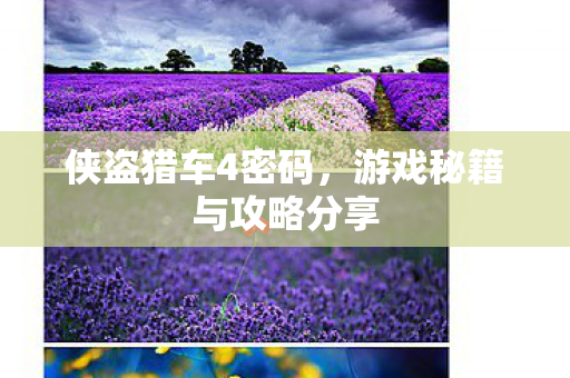 游戏秘籍与攻略分享图片