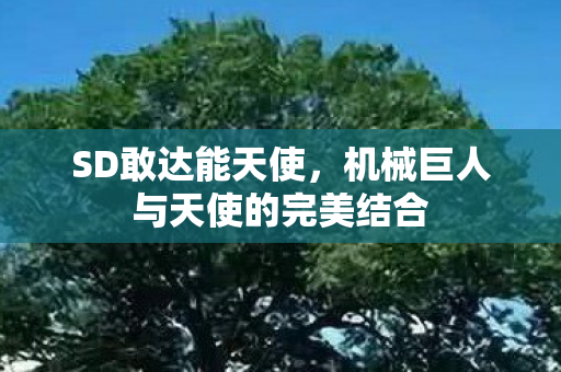 机械巨人与天使的完美结合图片