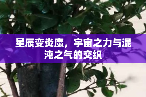 宇宙之力与混沌之气的交织图片