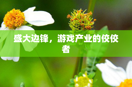 游戏产业的佼佼者图片