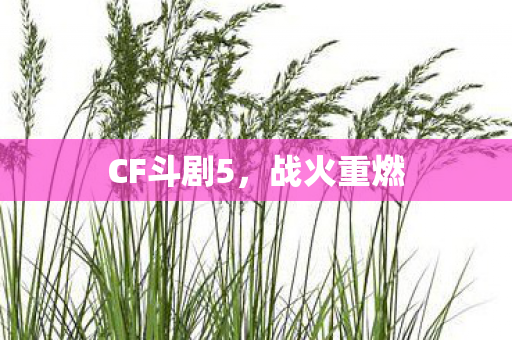 CF斗剧5图片