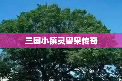 三国小镇灵兽果传奇图片