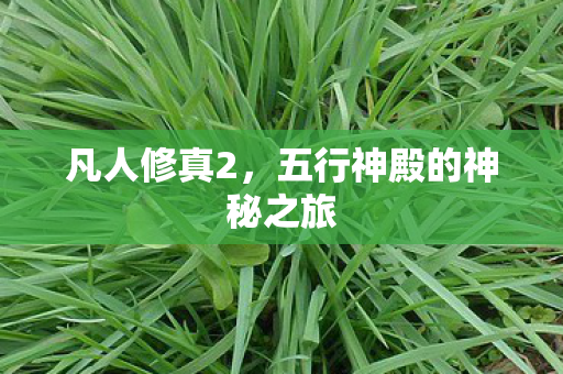 五行神殿的神秘之旅图片