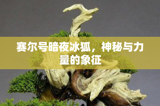 神秘与力量的象征图片