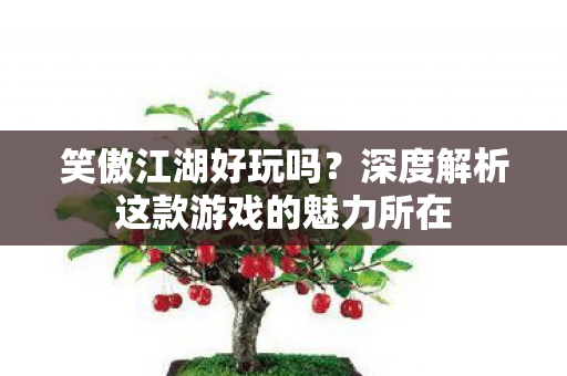 深度解析这款游戏的魅力所在图片