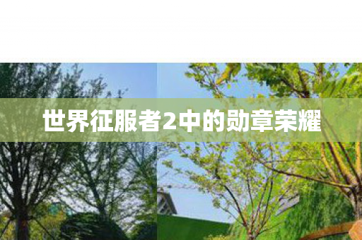 世界征服者2中的勋章荣耀图片