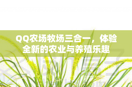 体验全新的农业与养殖乐趣图片
