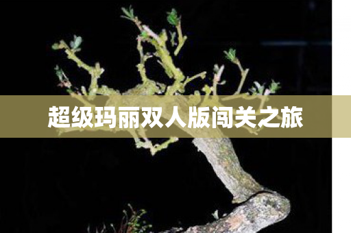 超级玛丽双人版闯关之旅图片
