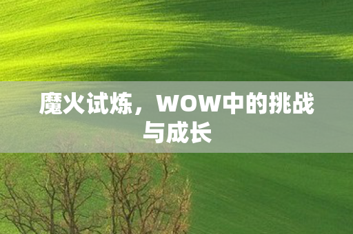 WOW中的挑战与成长图片