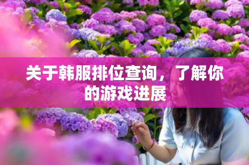 关于韩服排位查询图片