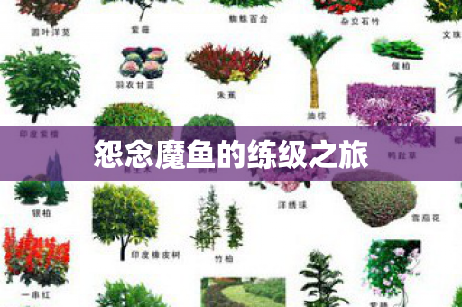 怨念魔鱼的练级之旅图片