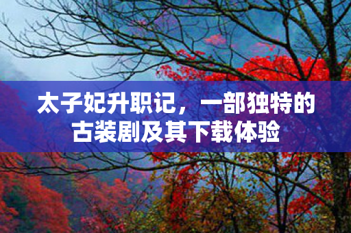 一部独特的古装剧及其下载体验图片