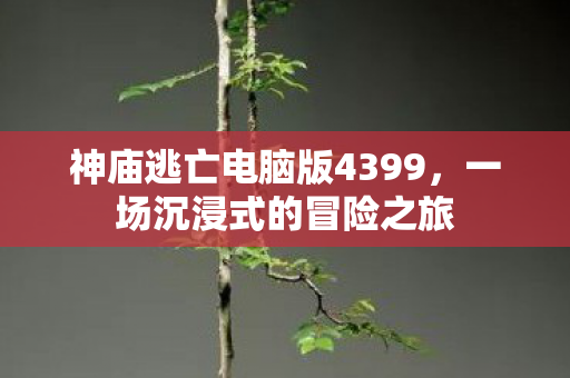 神庙逃亡电脑版4399图片