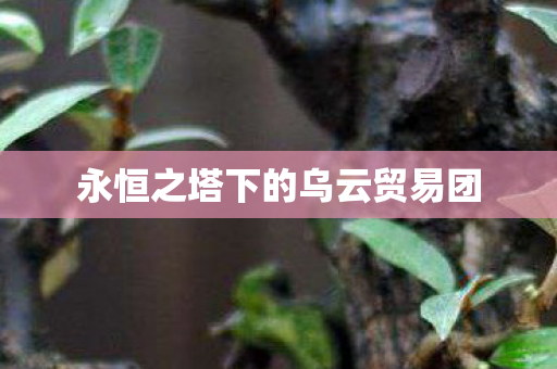永恒之塔下的乌云贸易团图片