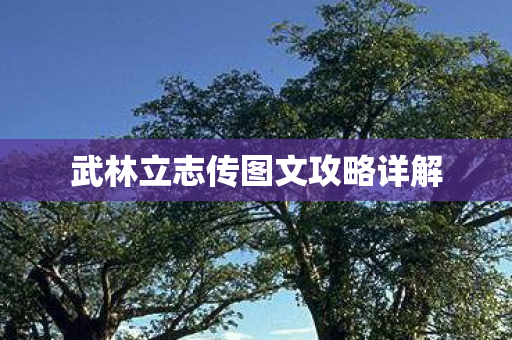 武林立志传图文攻略详解图片