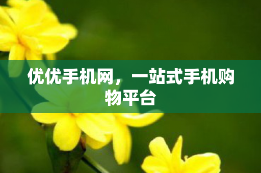 一站式手机购物平台图片