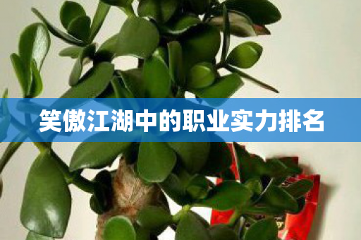 笑傲江湖中的职业实力排名图片
