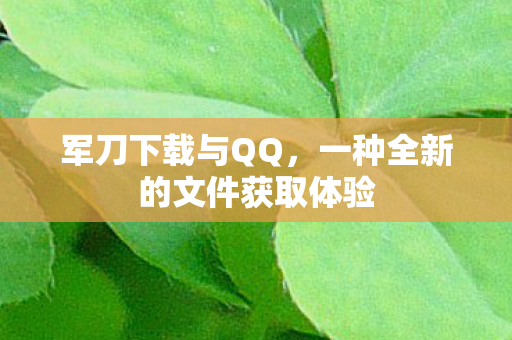 一种全新的文件获取体验图片