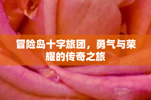 勇气与荣耀的传奇之旅图片
