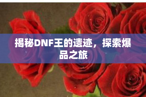 揭秘DNF王的遗迹图片