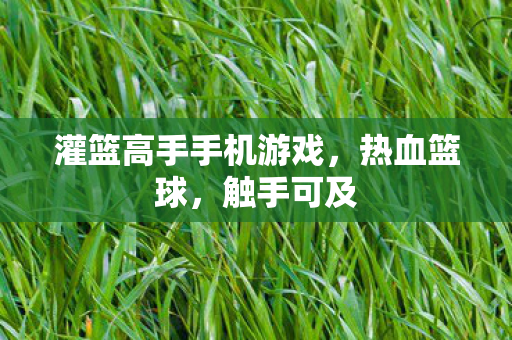 灌篮高手手机游戏图片