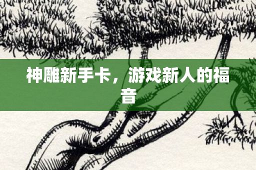 游戏新人的福音图片