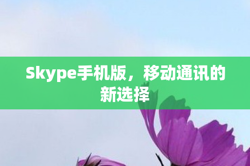 Skype手机版图片