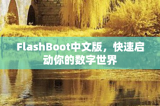 FlashBoot中文版图片