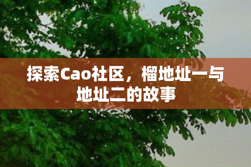 榴地址一与地址二的故事图片