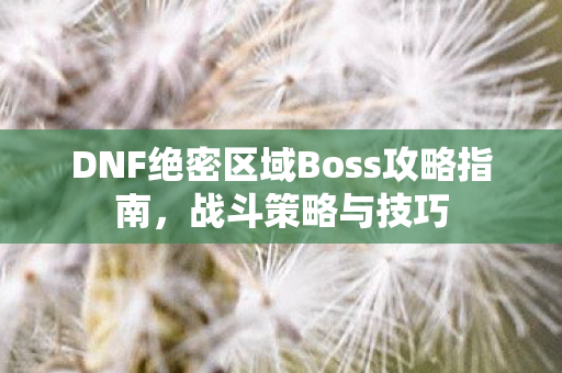 DNF绝密区域Boss攻略指南图片
